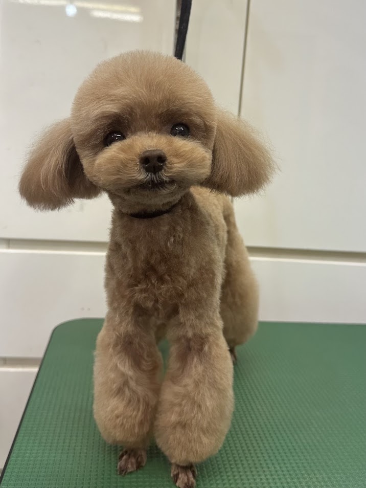 ３月１５日（土）のお客様(^^♪