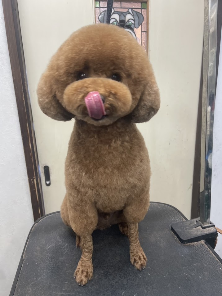 3月18日(火)のお客様(^^♪