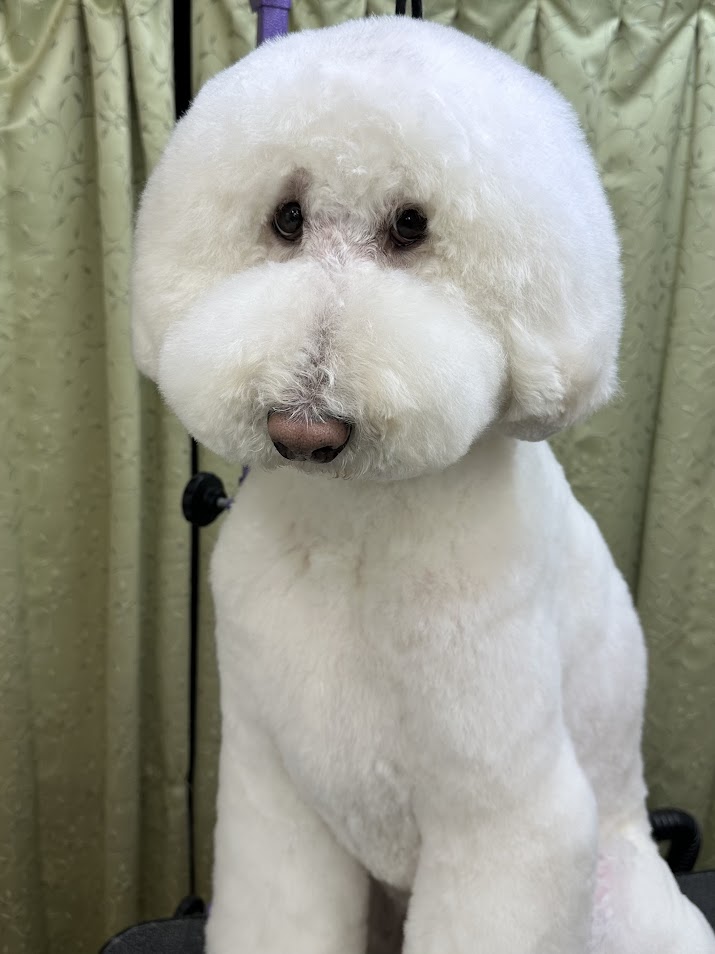 3月19日(水)のお客様(^^♪
