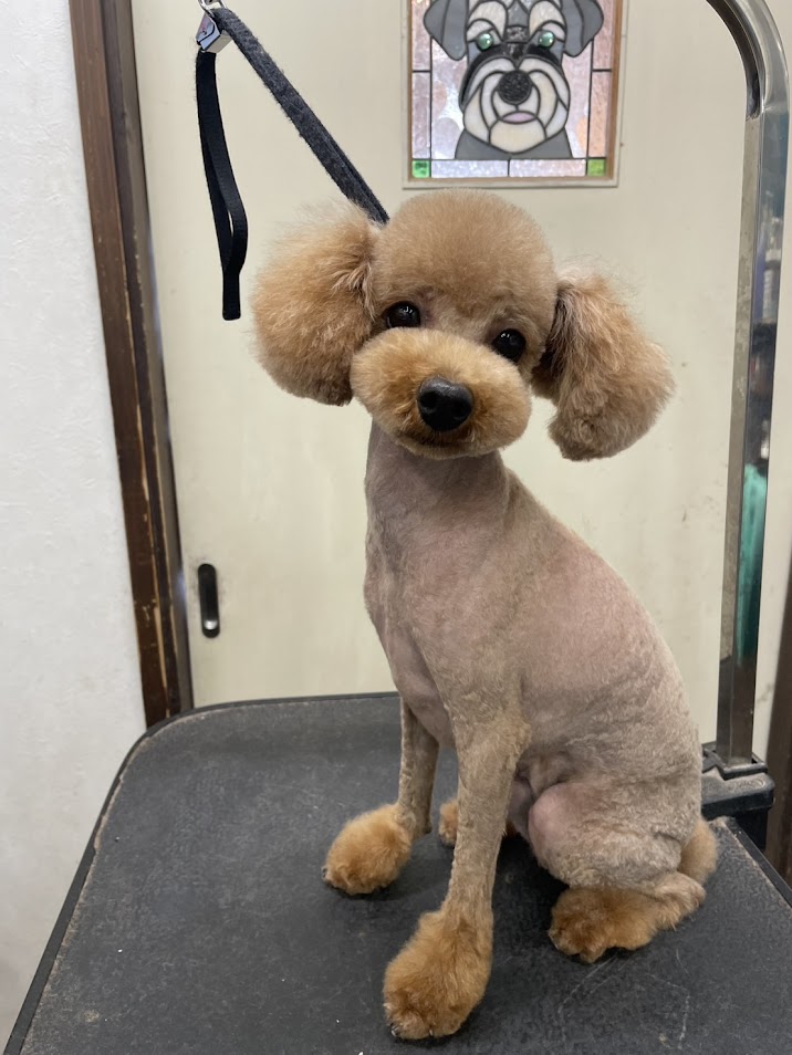 ３月２４日(月)のお客様(^^♪