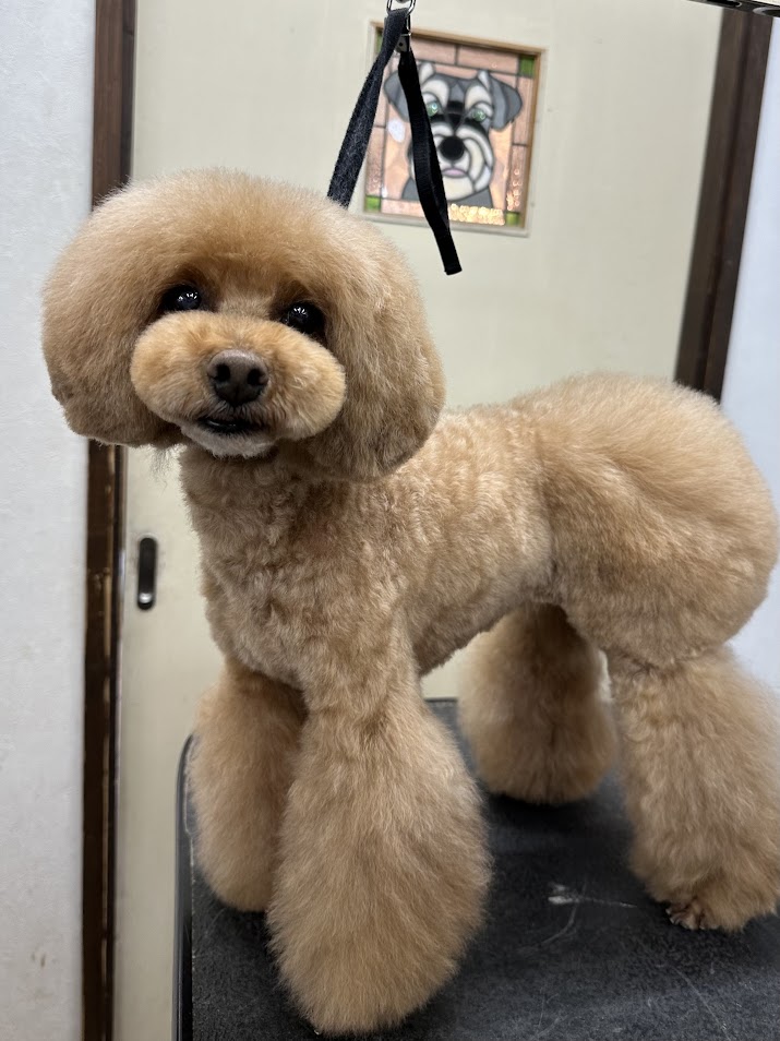 ４月２５日(金)のお客様(^^♪