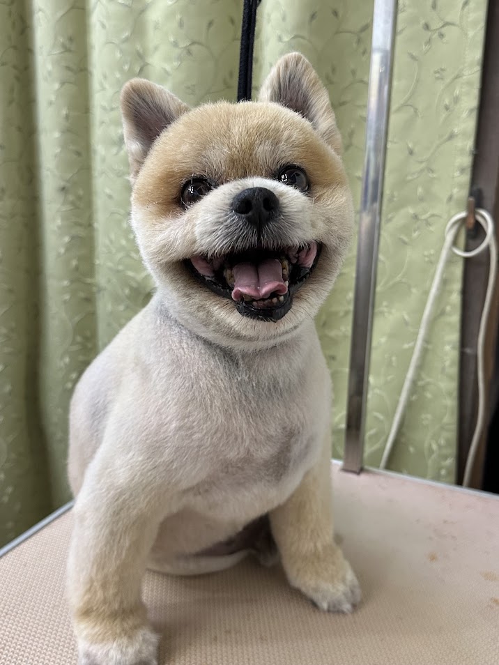 ４月３０日(水)のお客様(^^♪
