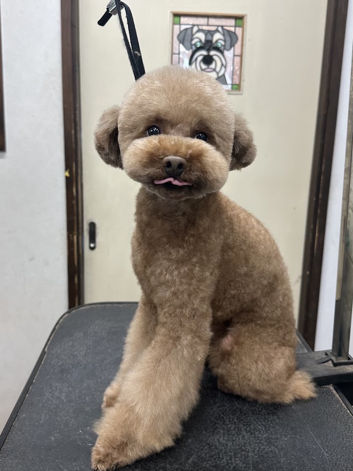 ５月３日(土)のお客様(^^♪