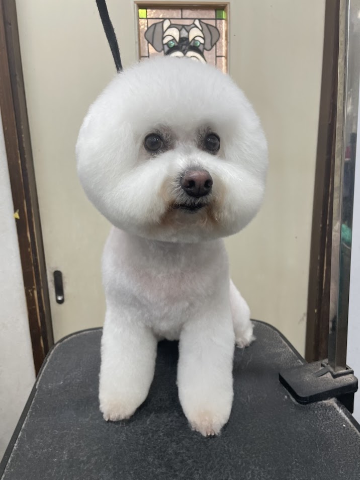 ５月４日(日)のお客様(^^♪明日明後日お休みです。