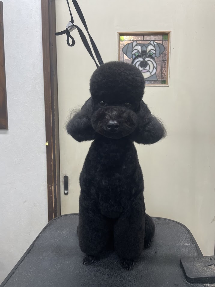 ５月７日(水)のお客様(^^♪