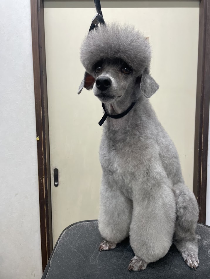 ５月１２日(月)のお客様(^^♪
