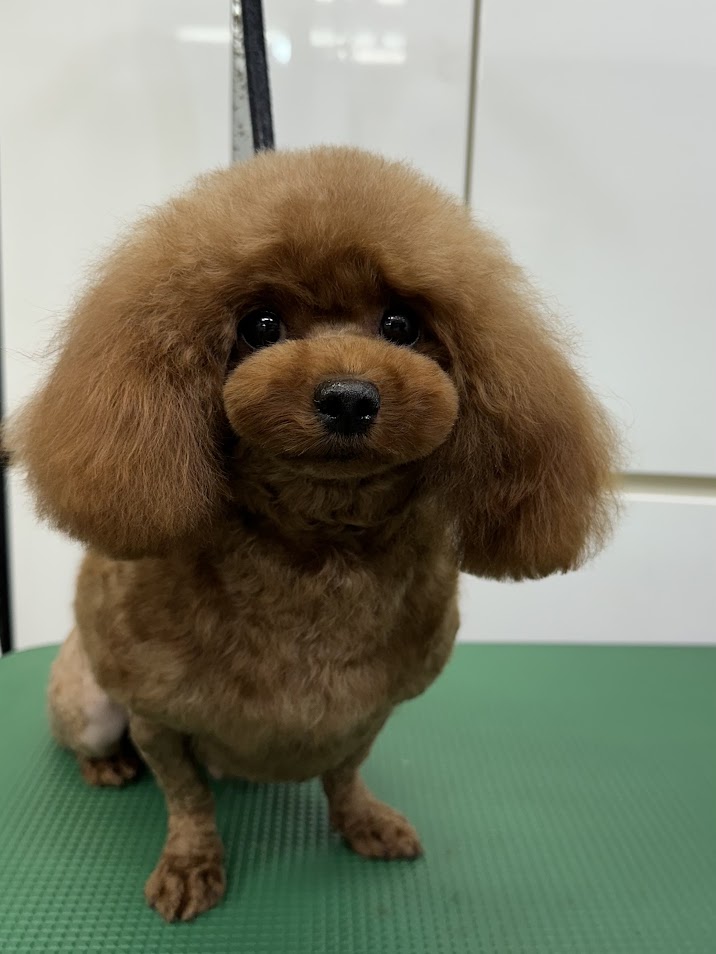 ５月１４日(水)のお客さま(^^♪