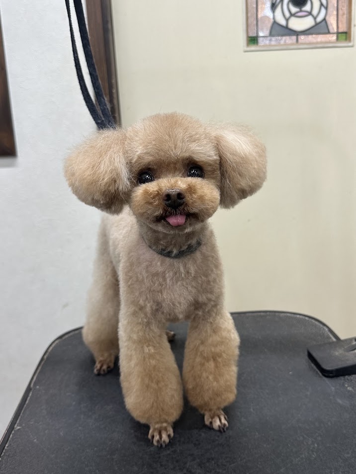5月１６日(金)のお客様(^^♪
