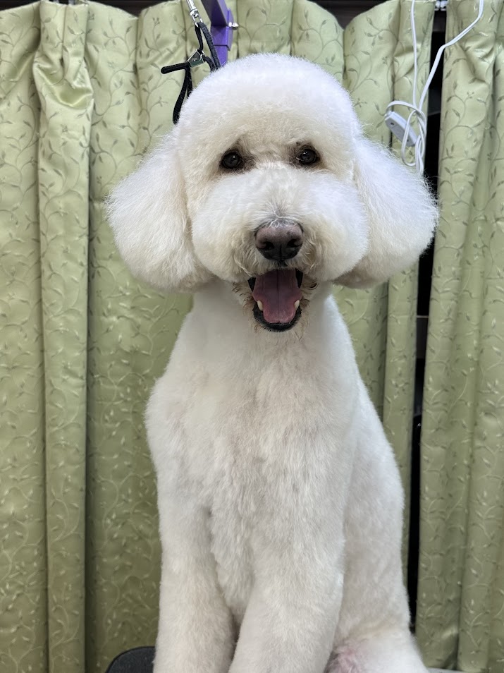 5月20日(火)のお客さま(^^♪