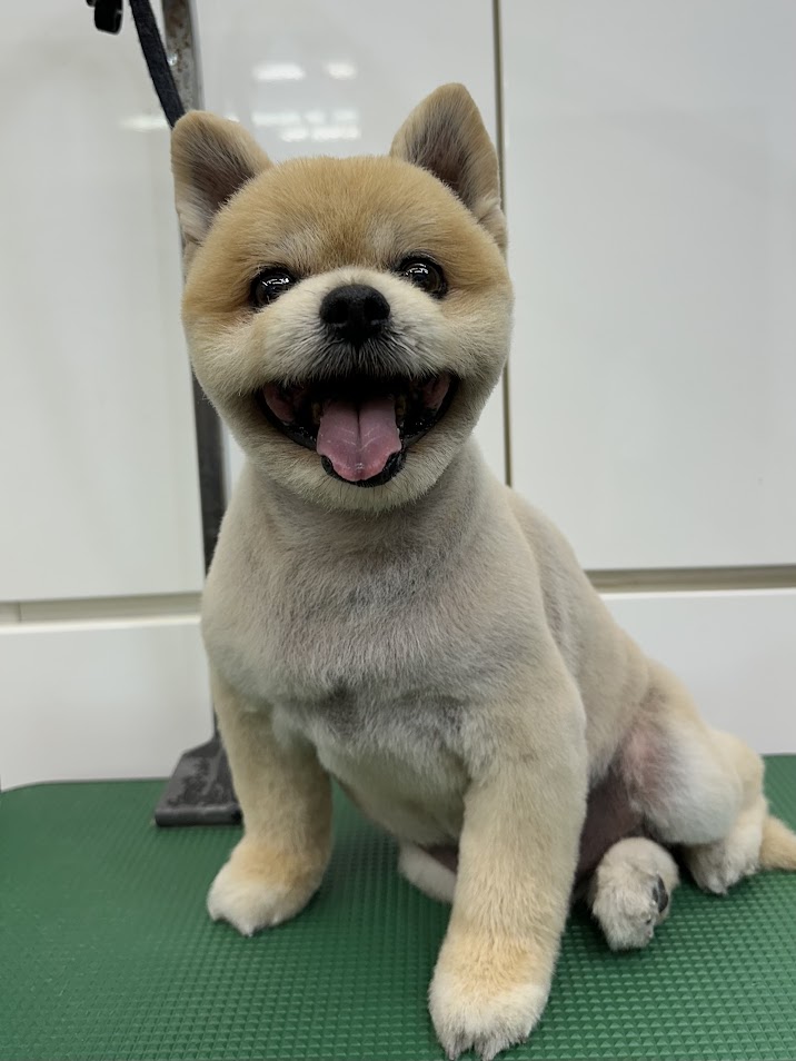 5月30日(金)のお客様(^^♪