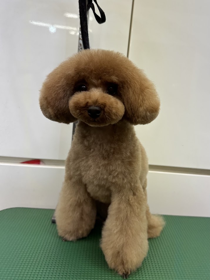 ６月３日(火)のお客様(^^♪