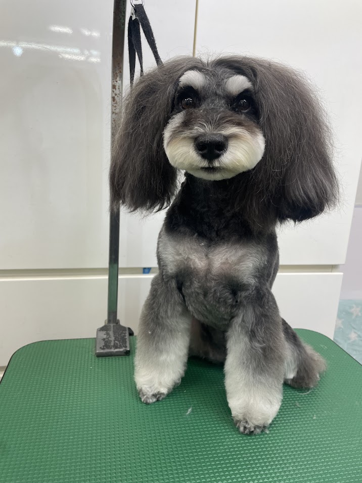 ６月６日(金)のお客さま(^^♪