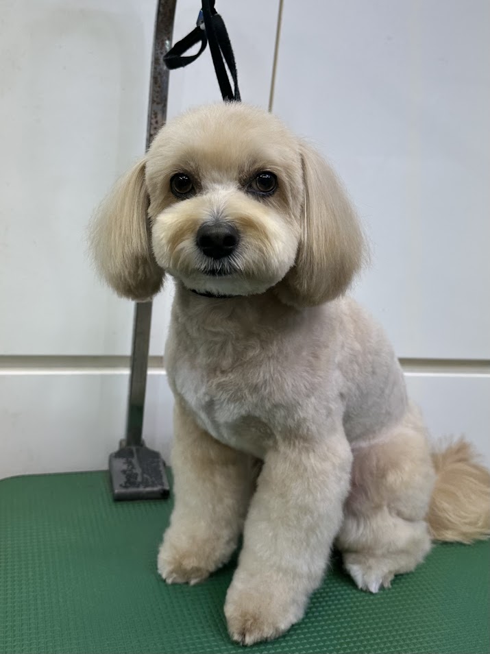 ６月１０日(火)のお客様(^^♪