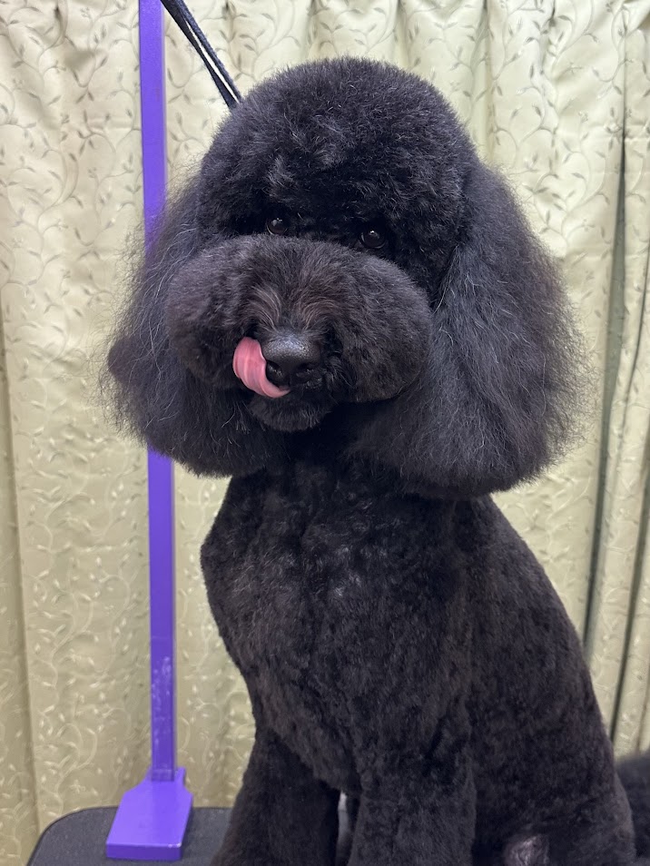 ６月１３日(金)のお客様(^^♪