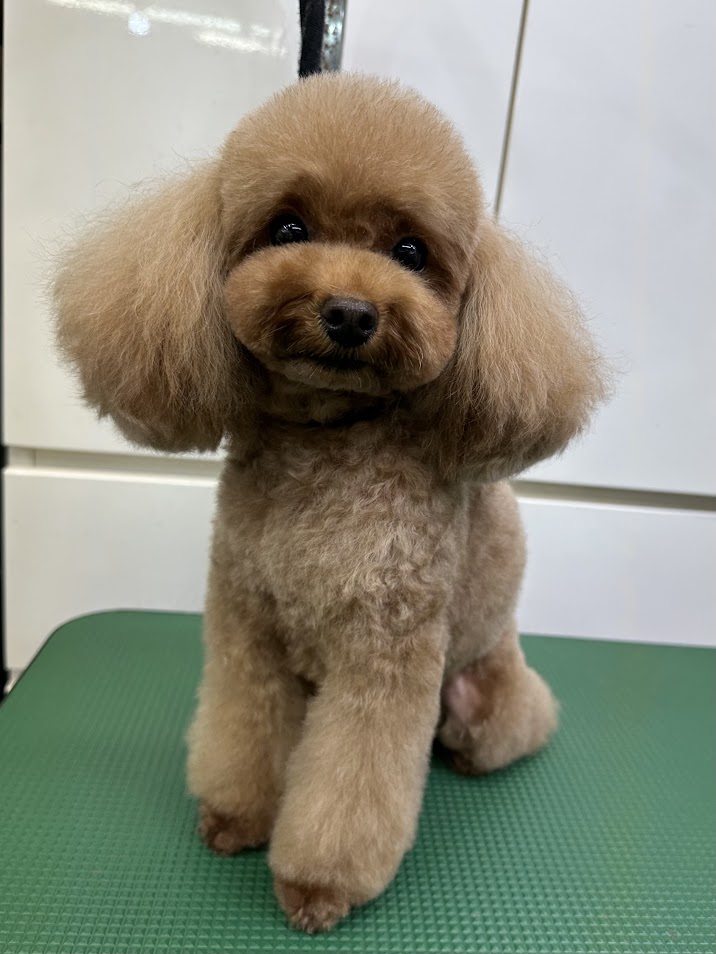 ６月１６日(月)のお客様(^^♪明日はお休みです。