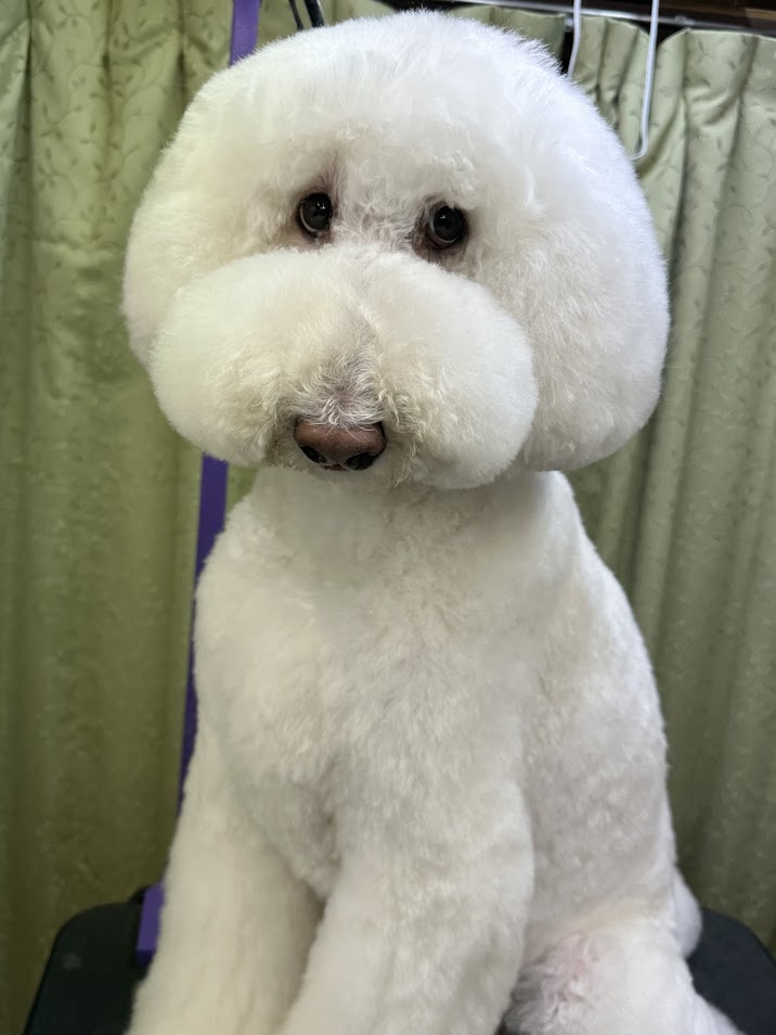 ６月１8日(水)のお客様(^^♪