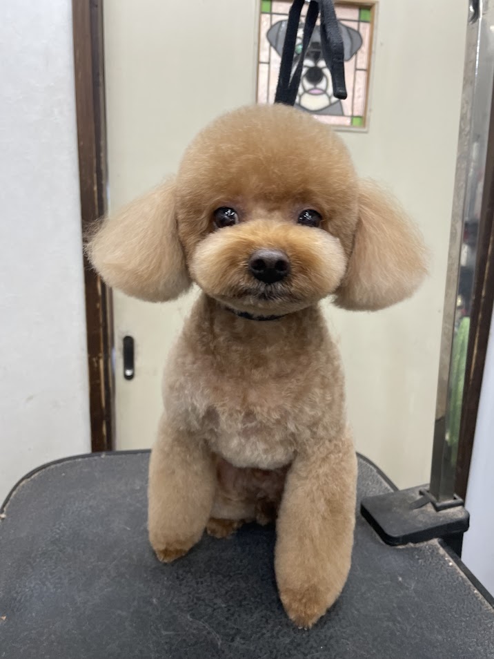 6月２０日(金)のお客さま(^^♪明日はお休みですm(__)m