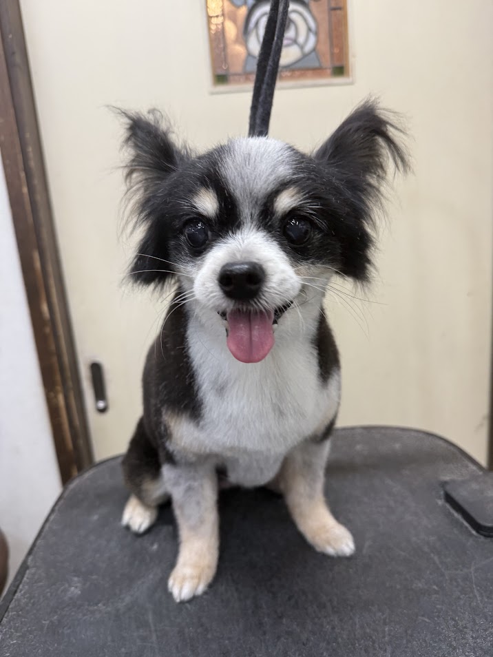 11月16日(日)のお客さま(^^♪明日はお休みですm(__)m