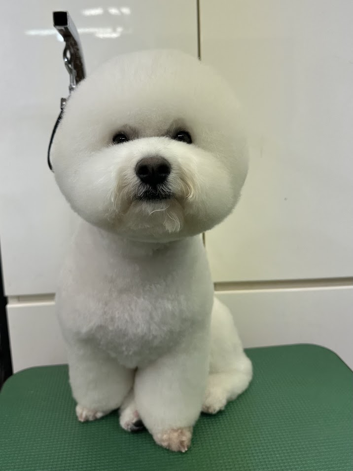 11月18日(火)のお客様(^^♪