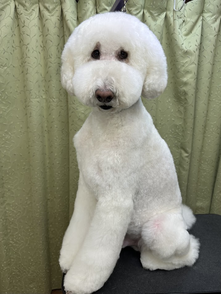 11月19日(水)のお客様(^^♪