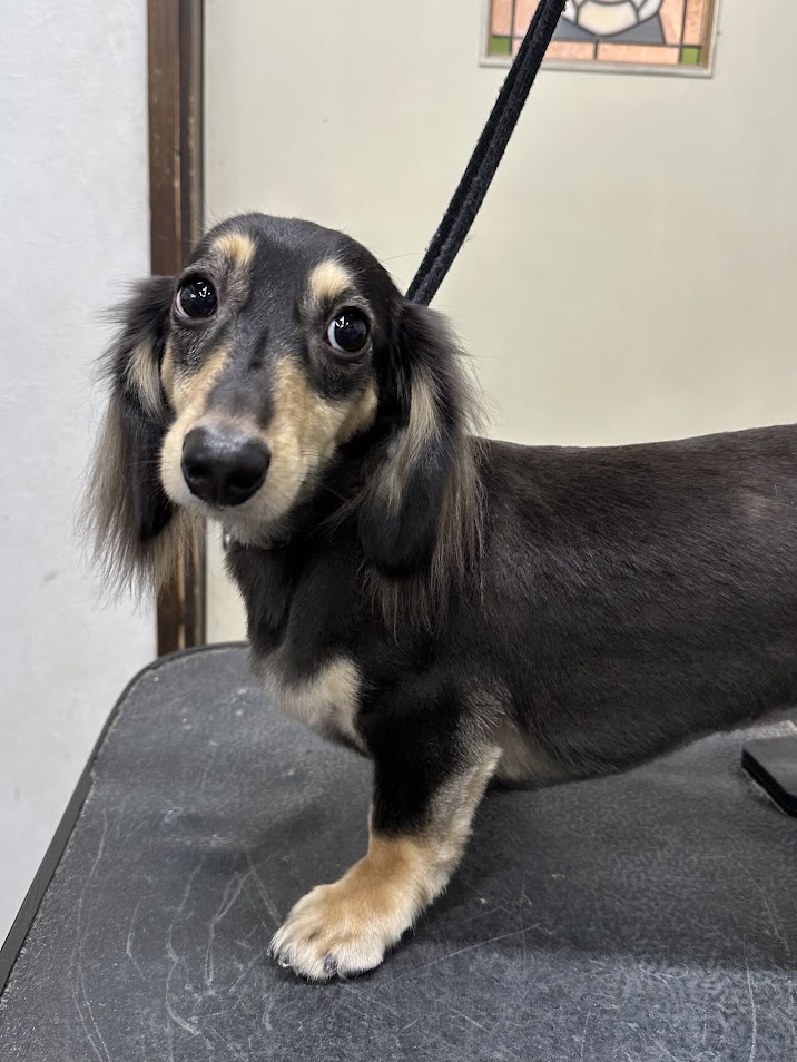 11月21日(金)お客さま(^^♪