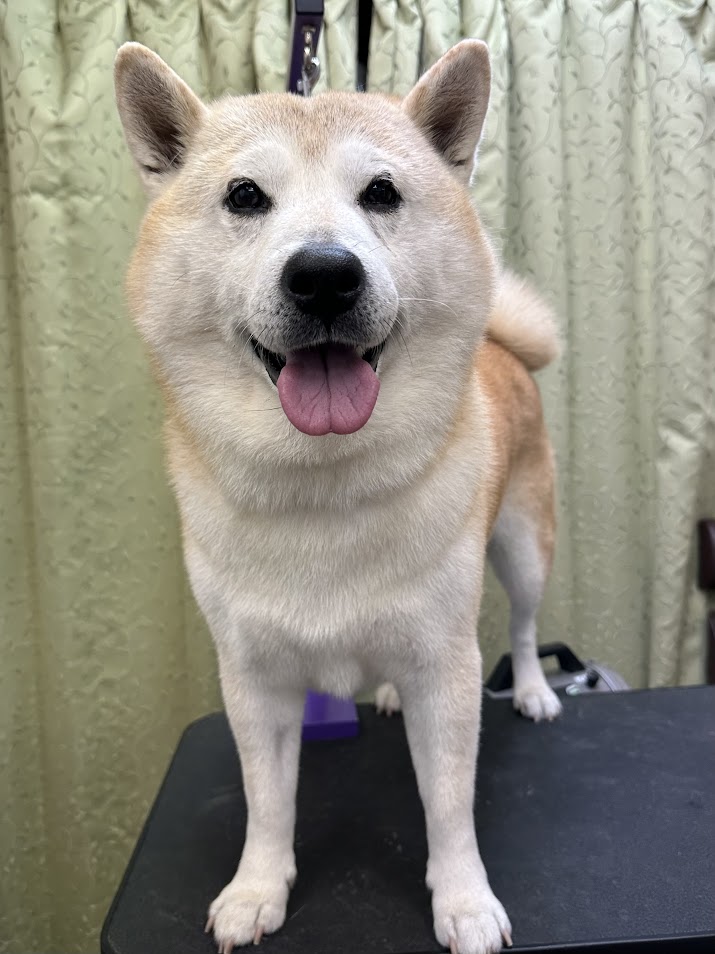 11月22日(土)のお客様(^^♪