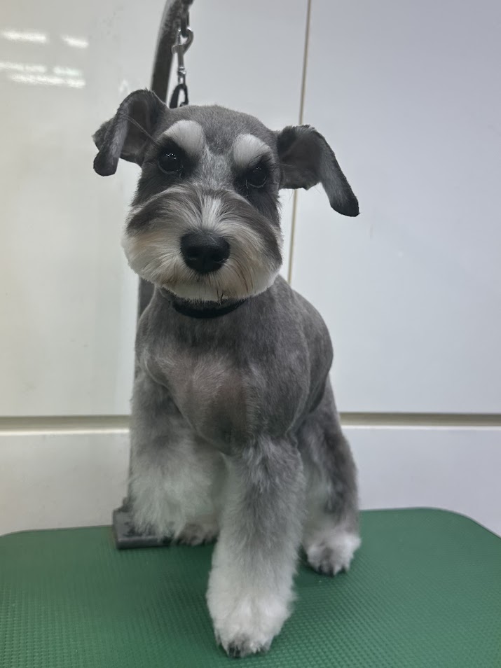 11月23日(日)のお客様、明日お休みですm(__)m