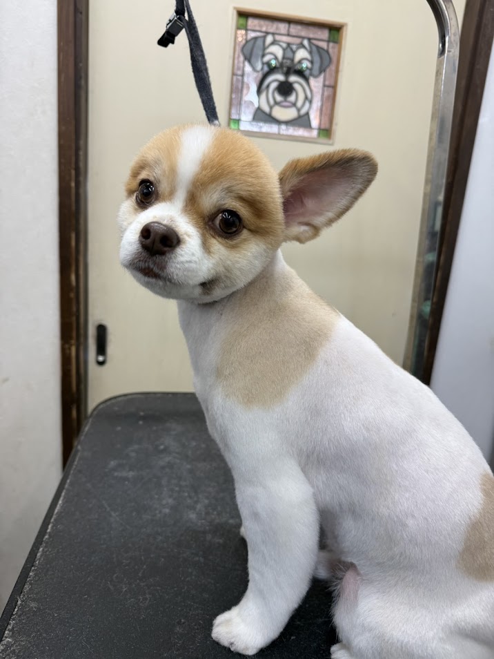 11月26日(水)のお客様(^^♪