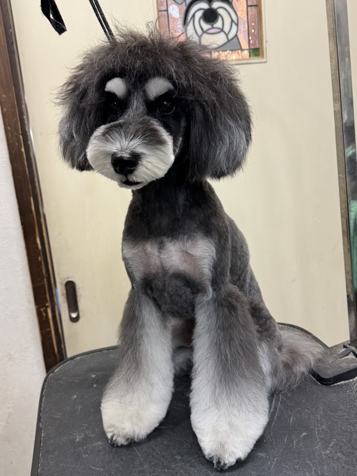 11月28日(金)のお客様(^^♪