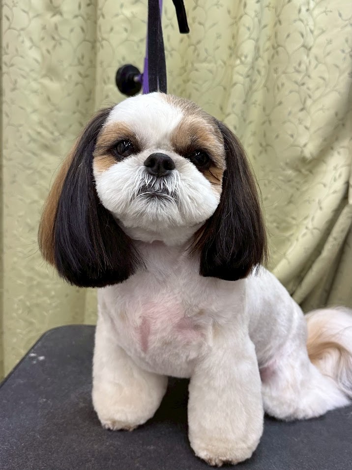 11月29日(土)のお客様(^^♪