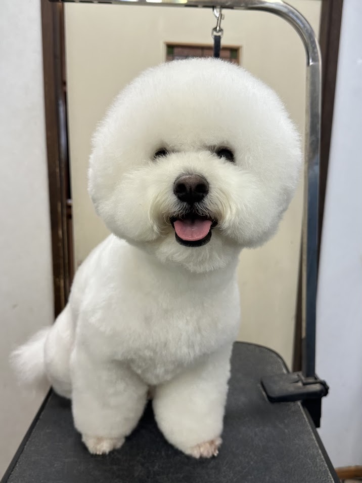 12月2日(火)のお客さま(^^♪