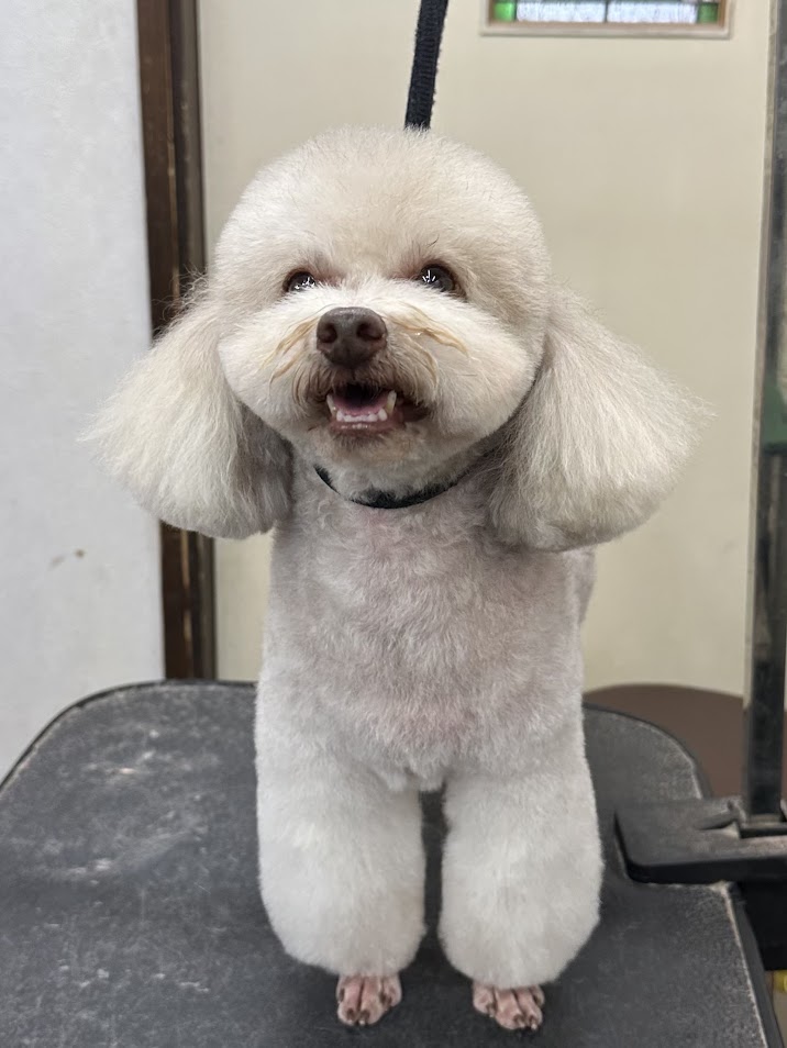 12月3日(水)のお客さま(^^♪