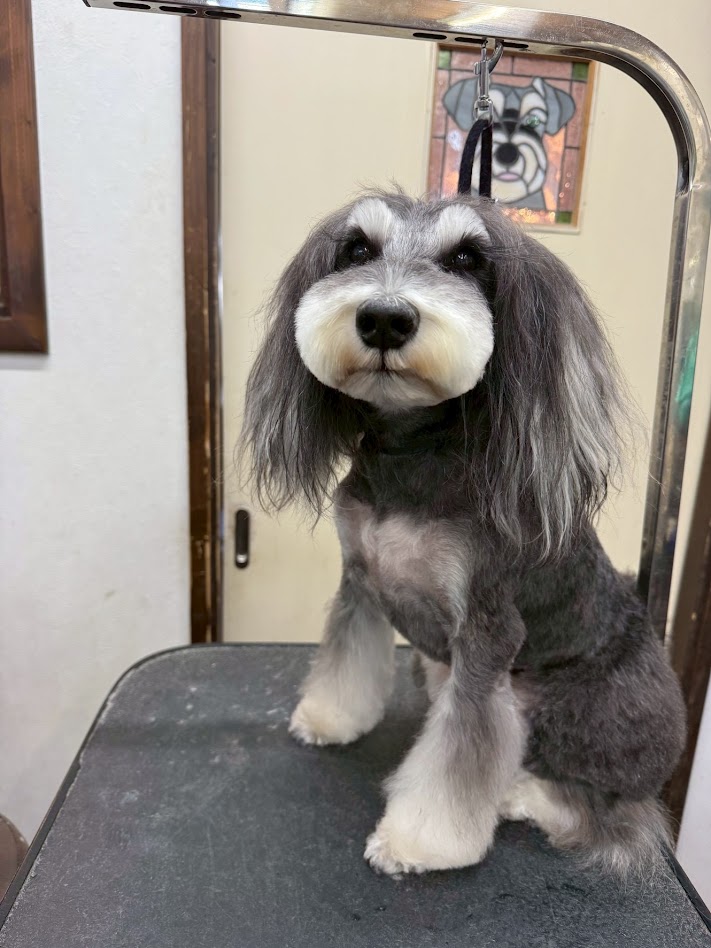 12月5日(金)のお客さま(^^♪