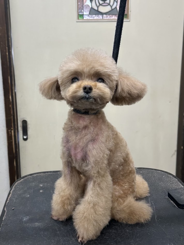 12月6日(土)のお客様(^^♪