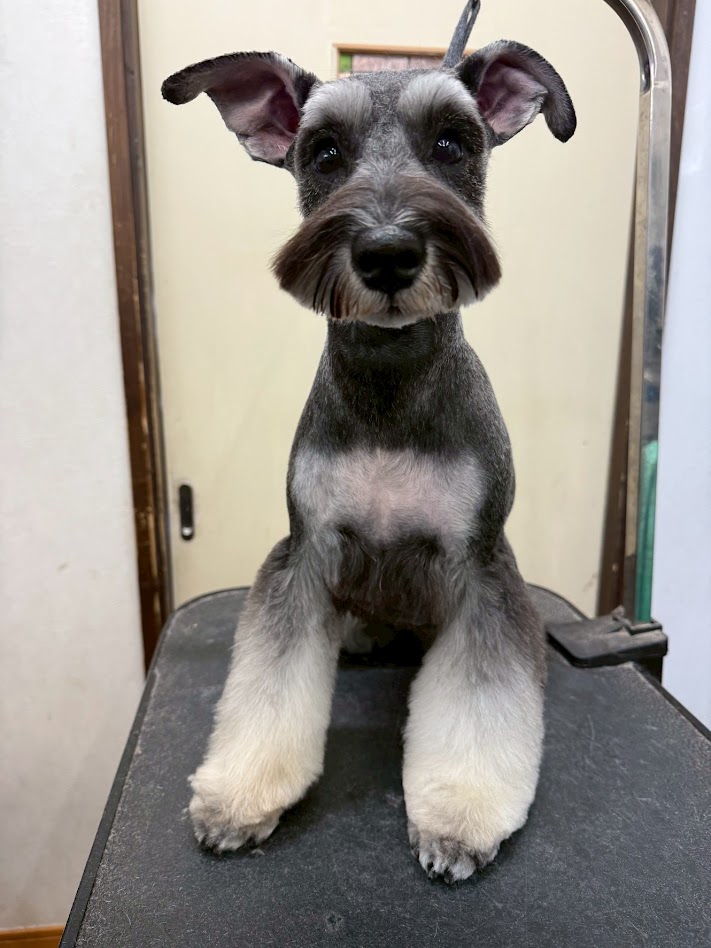 12月7日(日)のお客様(^^♪