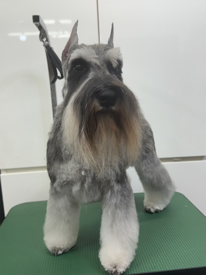 12月8日(月)のお客様(^^♪明日はお休みです