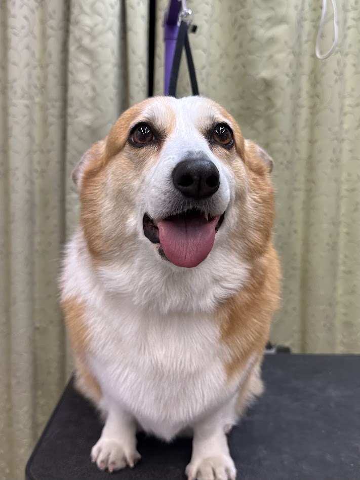 12月10日(水)のお客さま(^^♪