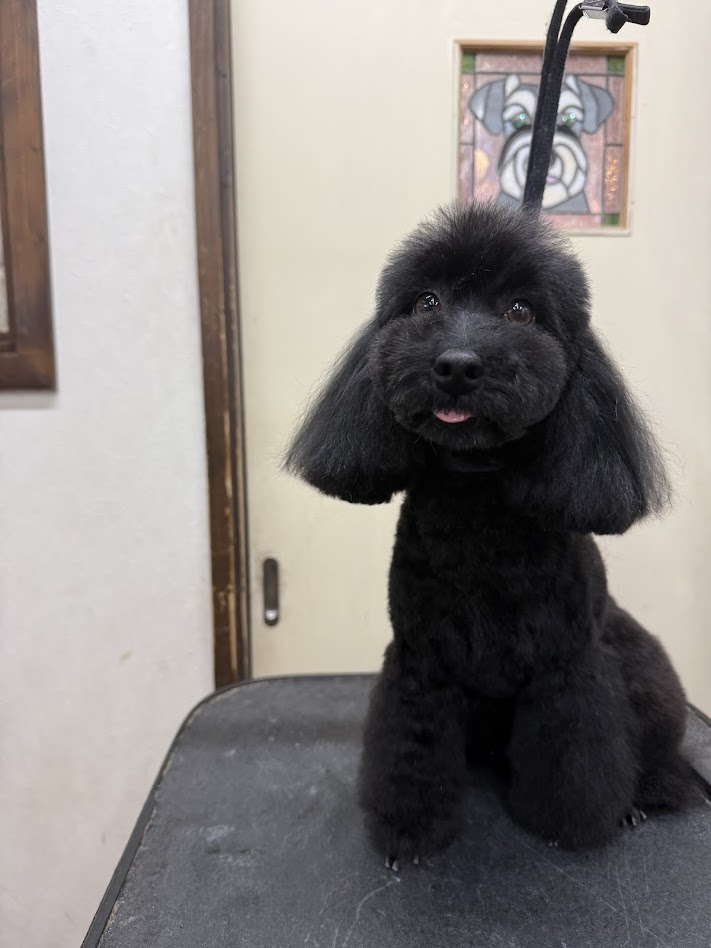 12月12日(金)のお客さま(^^♪