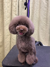 12月14日のお客さま、明日お休みですm(__)m