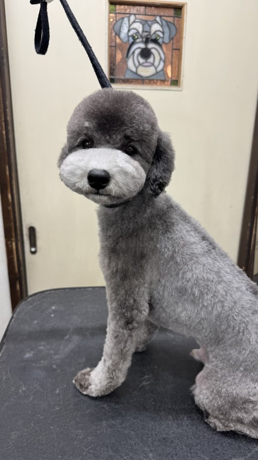 12月16日(火)のお客様(^^♪