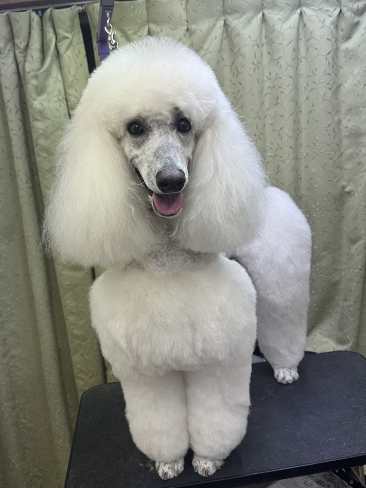 12月19日(金)のお客様(^^♪