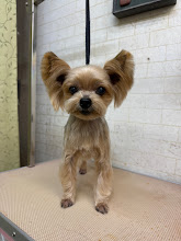 12月20日(土)のお客さま(^^♪明日は臨時休業ですm(__)m