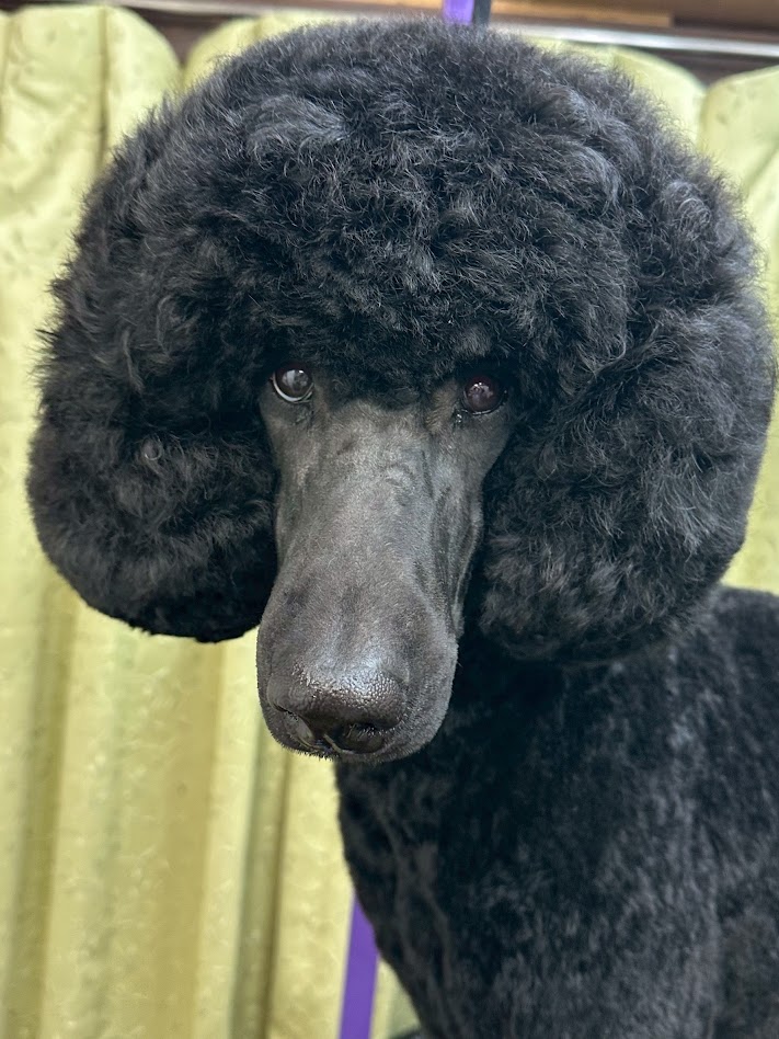 12月22日(月)のお客さま(^^♪