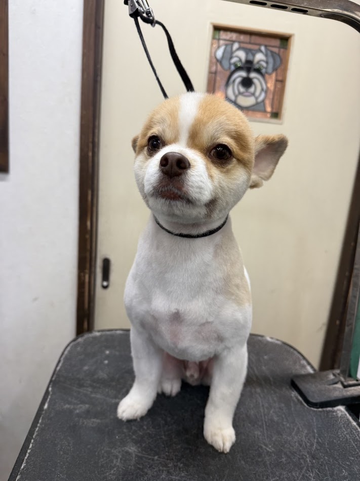 12月24日のお客さま(^^♪