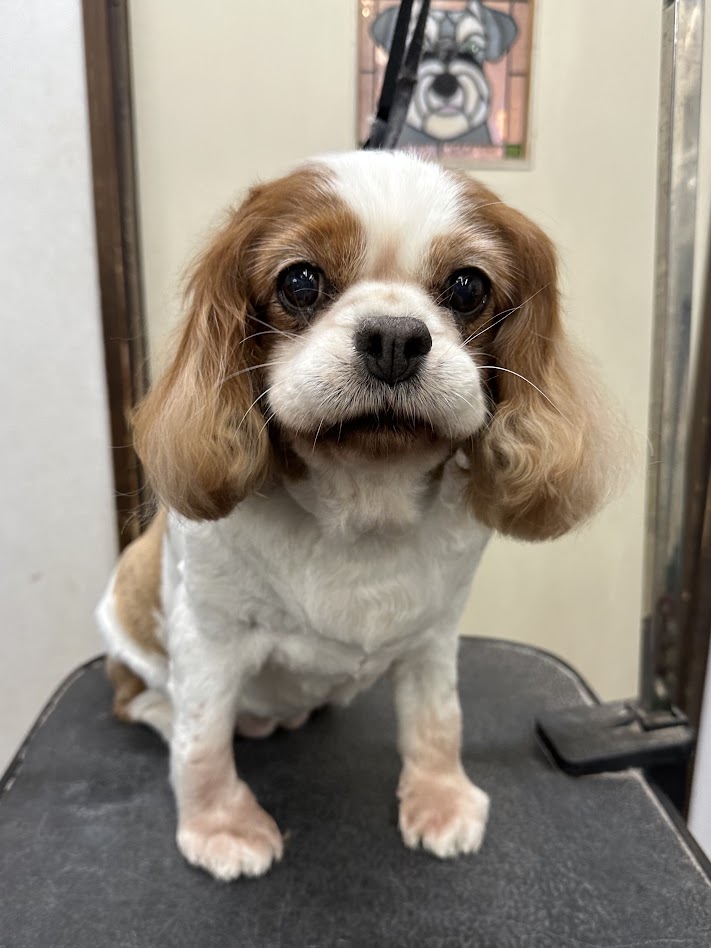 12月26日(金)のお客さま(^^♪