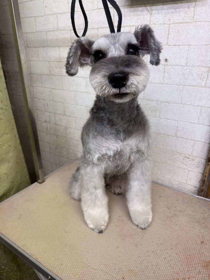 12月27日(土)のお客さま(^^♪