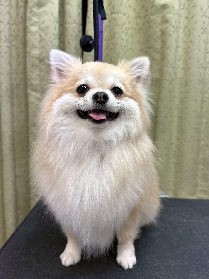 12月28日(日)のお客さま(^^♪