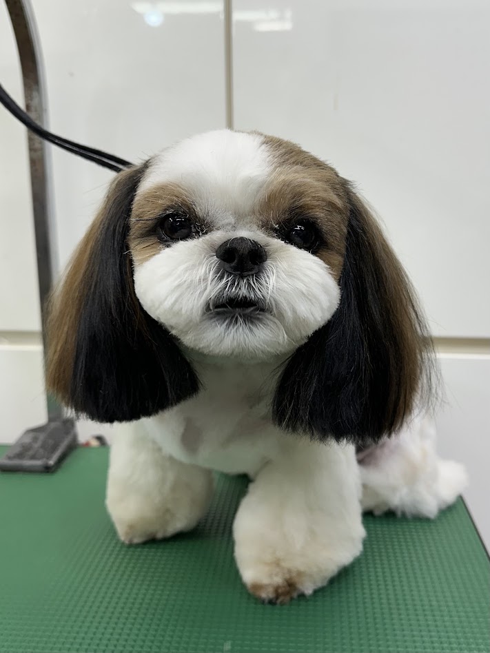 12月30日(火)のお客さま(^^♪