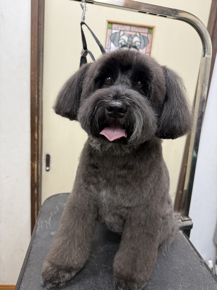 大晦日のお客さま(^^♪