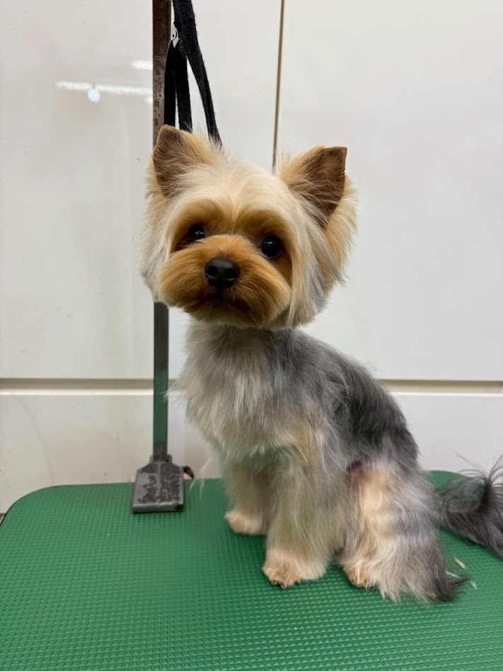 1月13日のお客さま(^^♪